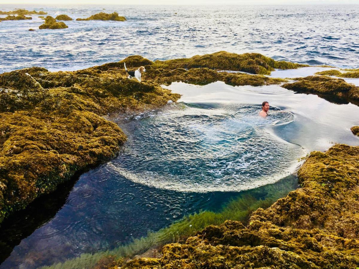 Sea Roots "Garden Zone " Villa Mosteiros  Dış mekan fotoğraf