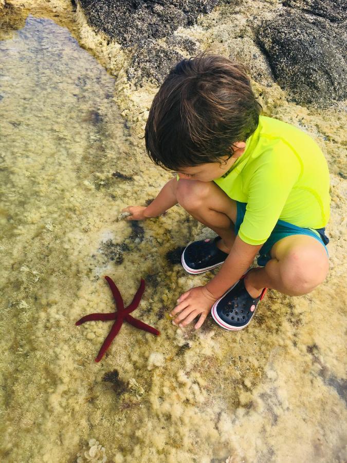Sea Roots "Garden Zone " Villa Mosteiros  Dış mekan fotoğraf