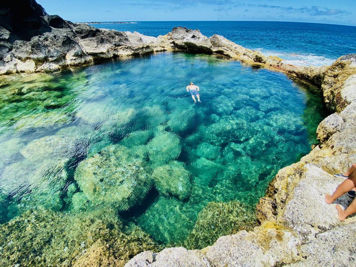 Sea Roots "Garden Zone " Villa Mosteiros  Dış mekan fotoğraf